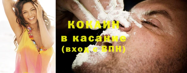 индика Алексин