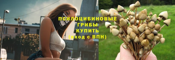 индика Абдулино
