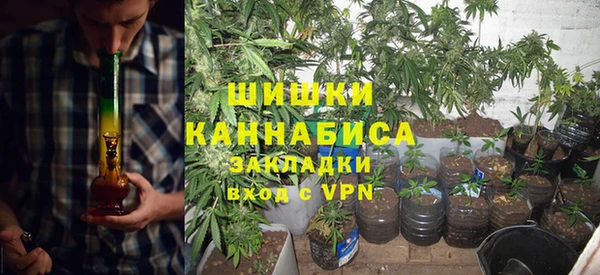 индика Абдулино