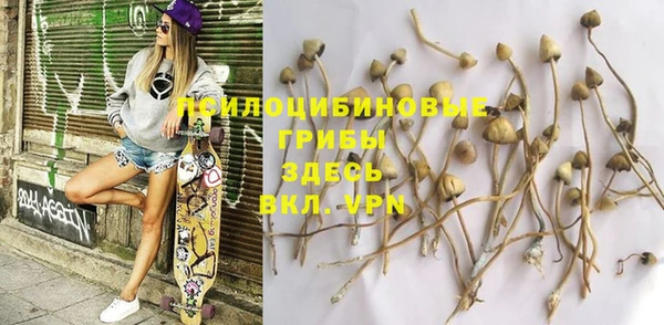 индика Абдулино