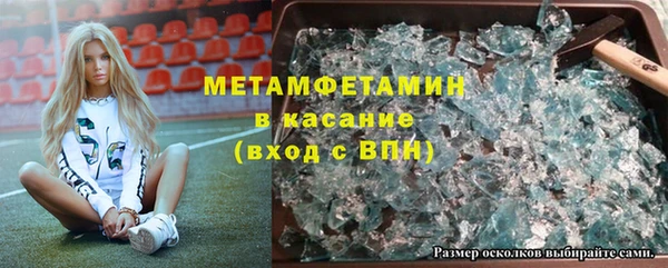 индика Алексин
