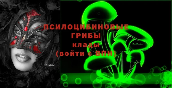 индика Абдулино