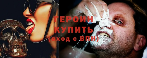 индика Алексин