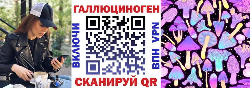 Галлюциногенные грибы Psilocybe  купить наркотики сайты  мега рабочий сайт  Весьегонск 